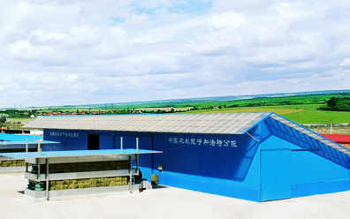 干燥