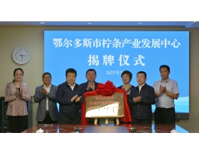 呼和浩特分院共建产业发展中心正式揭牌