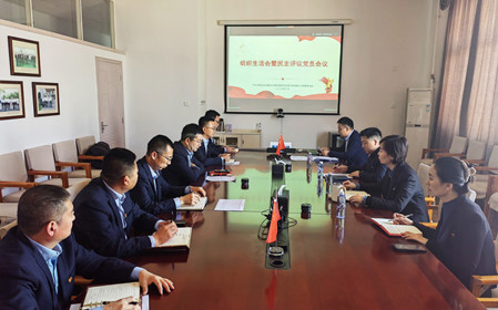 标题：销售党支部召开组织生活会暨民主评议党员会议
浏览次数：354
发表时间：2025-02-26